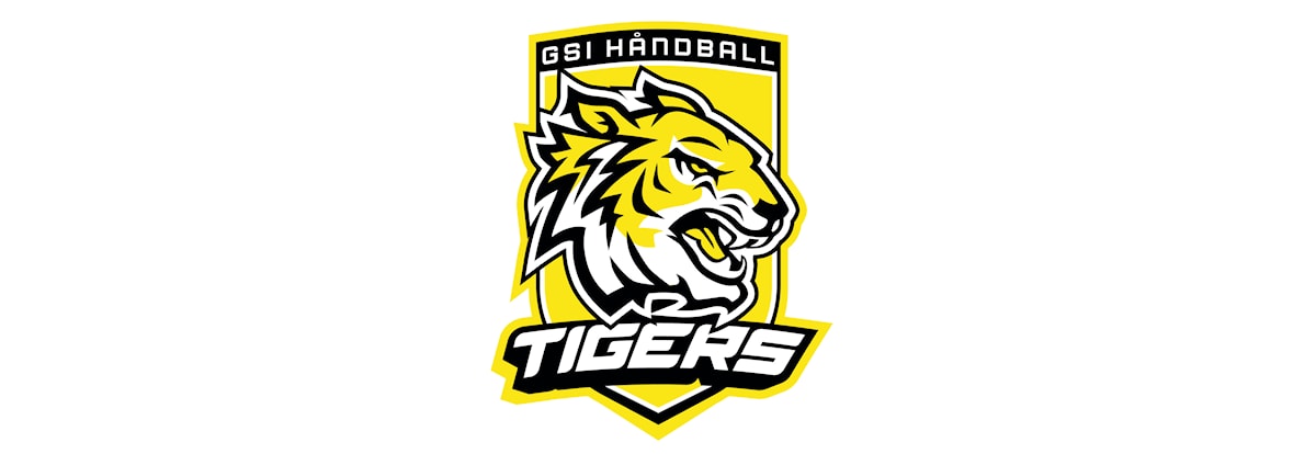 Håndball: Åpen trening (Damer)